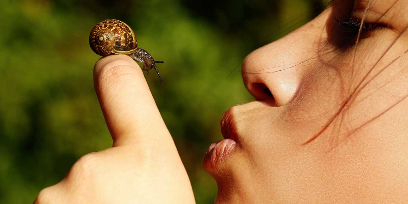 il potere rigenerante della bava di lumaca helix aspersa