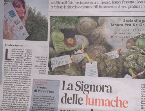 Parlano di noi anche sul Giornale!