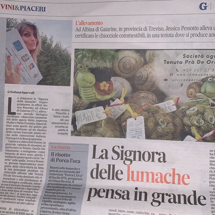 la signora della lumache pensa in grande